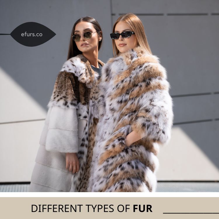Types of fur coats: Fur Identification Guide - eFurs
