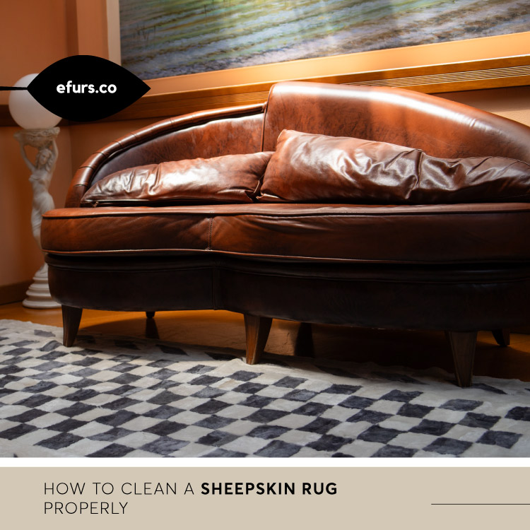 How to clean a sheepskin rug properly